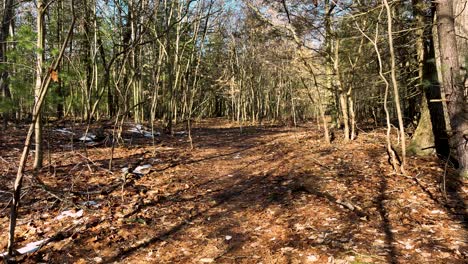 Frühlingsspaziergang-In-POV-Mit-Drohne