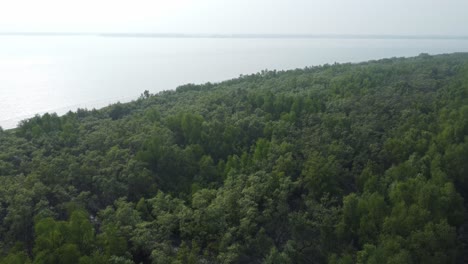 Vista-Aérea-De-Sundarban,-Que-Es-Uno-De-Los-Bosques-De-Reserva-De-Tigres-Más-Grandes-De-Asia.