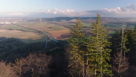 Nature-meets-civilisation,-city-background,-panoramic-view-beyond-trees