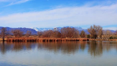 Schimmernder-Teich-Im-Frühen-Südwesten-Frühling