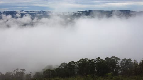 Niebla-Que-Fluye-Sobre-La-Selva-Baja-En-Mairiporã,-São-Paulo,-Brasil