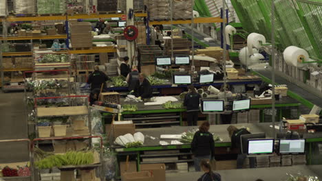 Übersichtsaufnahme-Eines-Blumenverpackungsdepots