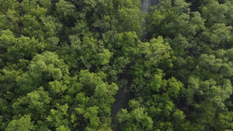 Ariel-view-shot-of-Sundarban,-which-is-one-of-the-biggest-tiger-reserve-forest-in-Asia