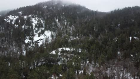 Eine-Luftaufnahme-Einer-Drohne-Von-Den-Bäumen-Auf-Einem-Berg-In-Den-Adirondack-Mountains