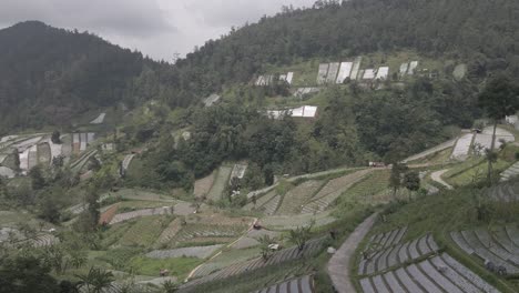 Vista-Aérea,-Montañas-Con-Laderas-Que-Contienen-Campos-De-Hortalizas.