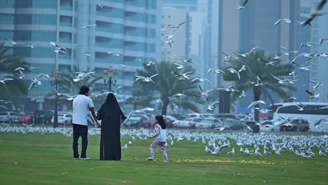 El-24-De-Febrero-De-2024,-Residentes-Alimentando-A-Las-Aves-Migratorias-En-Una-Brumosa-Mañana-De-Invierno-En-Sharjah,-Emiratos-Árabes-Unidos.