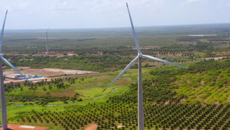 Aerial-view-of-wind-fan-in-the-middle-of-a-green-area-of-palm-trees,-Ceara,-Brazil