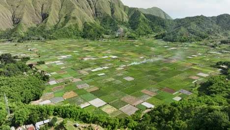 Vista-Sobre-Los-Coloridos-Campos-De-Arroz-En-Sembalun,-Lombok