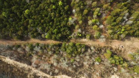 Point-remove-wildlife-area-with-a-dirt-path-and-lush-greenery-in-blackwell,-ar,-usa,-aerial-view