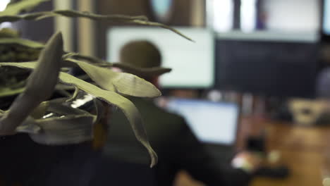 Hard-working-businessman-focussing-on-his-laptop-screen-looking-at-numbers,-slow