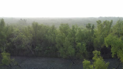 Ariel-view-shot-of-Sundarban,-which-is-one-of-the-biggest-tiger-reserve-forest-in-Asia