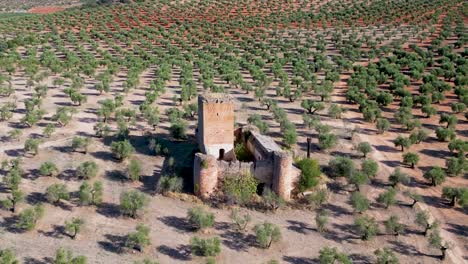 Zoom-view-of-an-old-abandoned-castle-in-an-olive-garden