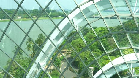 Tilt-up-shot-of-tourists-on-the-aerial-walkway,-visiting-the-Cloud-Forest-capturing-the-view-of-marina-bay-water-and-outdoor-environment-through-the-glass-of-greenhouse-conservatory-from-the-inside