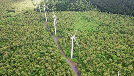 Wind-turbines-among-lush-forest,-concept-of-renewable-energy-and-sustainability,-daylight-shot,-aerial-view