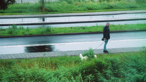 Un-Hombre-Camina-Con-Un-Perro-Golden-Retriever-Afuera-Bajo-La-Lluvia-En-La-Orilla-Verde-Del-Río-Con-Juncos