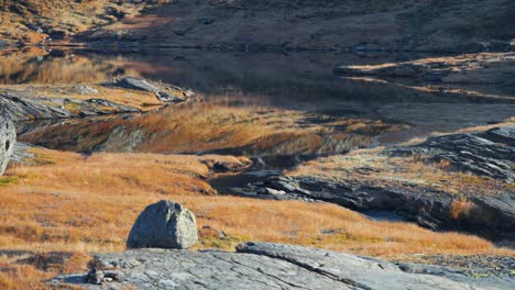 Flacher,-Spiegelglatter-Teich-Mit-Gefrorenen-Rändern-In-Der-Herbsttundra