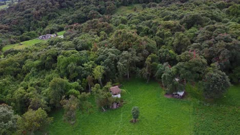 Aerial-Panorama-of-a-Lush-Forest-in-the-Ecuadorian-Andes