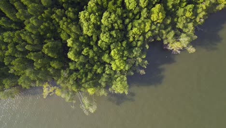 mangrove-river-hills-malaysia-Langkawi