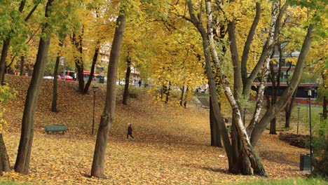 Mujer-Caminando-Por-El-Parque-Con-El-Suelo-Cubierto-De-Hojas-De-Otoño