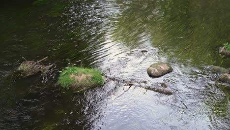 Vista-Al-Río-Ahja.-Piedras-En-Agua