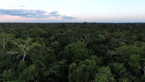 Drone-aerial-view-in-Peru-ascending-in-the-amazon-rainforest-showing-green-tree-forest-all-around-on-a-cloudy-day