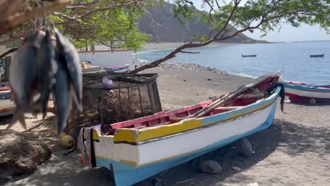 Enfoque-En-Rack-Desde-El-Barco-Hasta-La-Captura-De-Peces-Colgando-Del-árbol