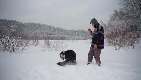 A-Man-is-Engaging-in-Play-with-His-Alaskan-Malamute-in-Deep-Snow---Static-Shot