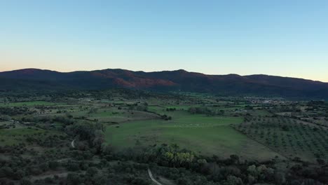 Descent-flight-in-a-rural-environment-with-fields-of-olive-trees-and-crops,-meadows-with-livestock,-the-stream-with-its-riverside-trees-and-a-road-with-a-background-of-mountains-and-a-town-Avila-Spain
