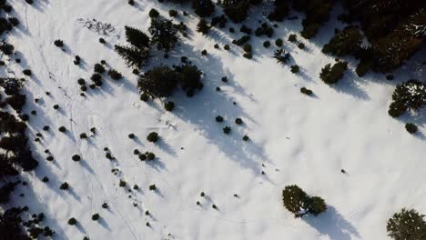 Iezer-papusa-mountains-with-snow-and-scattered-trees,-daytime,-aerial-view