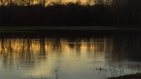 Sunset-reflections-on-Loosahatchie-River,-serene-water,-trees-silhouette,-golden-hour,-Tennessee-park