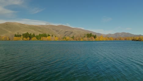 Wairepo-Arm-lake-during-daytime-in-autumn-season-with-yellow-trees-on-shore