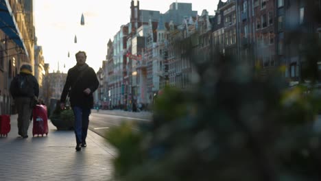 Foco-En-El-Follaje-Y-La-Escena-Callejera-En-Amsterdam,-Países-Bajos