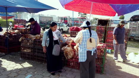 Busy-market-scene-in-Otavalo,-Ecuador-with-vendors-selling-chickens,-vibrant-umbrellas-overhead