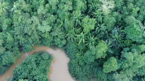 Drone-aerial-view-in-Peru-in-the-amazon-rainforest-showing-green-tree-forest-all-around-and-a-river-crossing-on-a-cloudy-day-top-view