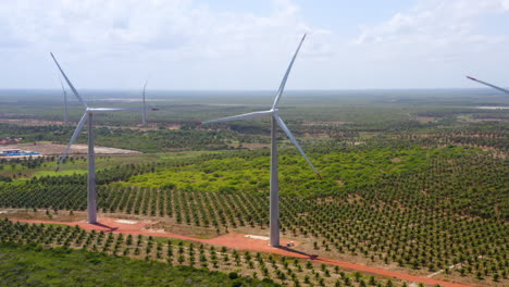 Aerial-view-of-wind-fan-in-the-middle-of-a-green-area-of-palm-trees,-Ceara,-Brazil