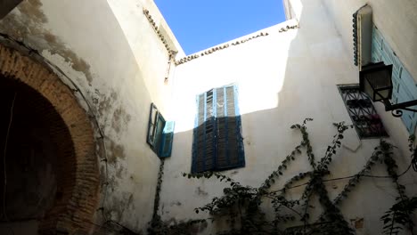 Sonnenbeschienene-Mediterrane-Gasse,-Weiße-Wände,-Blaue-Fensterläden,-Kletterpflanzen,-Ruhiger-Tag