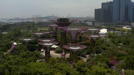 Aerial-Orbital-Drone-Viewing-the-Botanical-Architecture-of-Supertree-Next-to-Marina-Sands-Bay-Hotel-in-Singapore