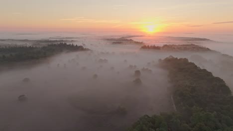 Luftaufnahme-Der-Satten-Violetten-Farben-Der-Heide-Am-Frühen-Morgen,-Niederlande