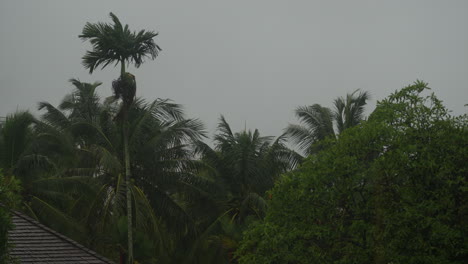 Rainfall-on-rooftops-in-southern-Krabi,-Thailand,-during-the-tropical-rainy-season,-surrounded-by-lush-green-trees