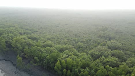 Ariel-view-shot-of-Sundarban,-which-is-one-of-the-biggest-tiger-reserve-forest-in-Asia