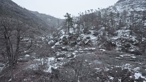 Snow-gently-falls-in-a-tranquil-forest-with-dustings-of-snow-on-rocky-terrain,-evoking-serenity