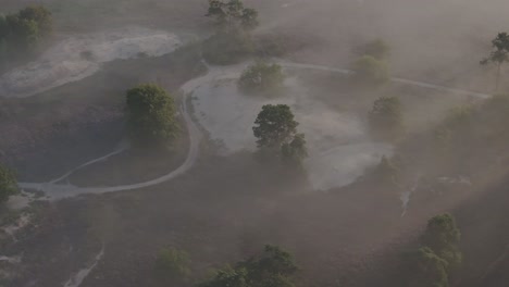 Vista-Aérea-De-Los-Ricos-Colores-Púrpuras-Del-Brezo-Temprano-En-La-Mañana,-Países-Bajos