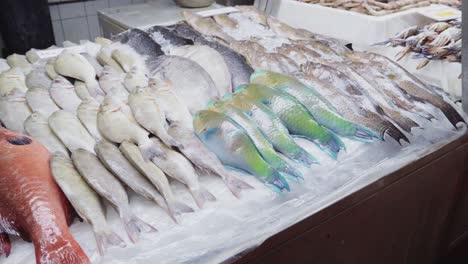 Nahaufnahme-Von-Frischem,-Buntem-Rohem-Fisch-In-Eis-Auf-Der-Theke-Am-Alten-Fischmarkt-In-Dschidda,-Saudi-Arabien