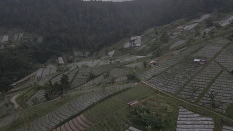 Vista-Aérea,-Montañas-Con-Laderas-Que-Contienen-Campos-De-Hortalizas.