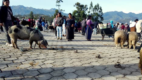 Busy-market-scene-in-Otavalo,-Ecuador-with-locals-and-a-sheep,-in-daylight,-vibrant-local-culture
