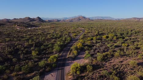 Long-winding-road-in-desert-for-roadtrip-with-cacti-and-mountains-during-sunset