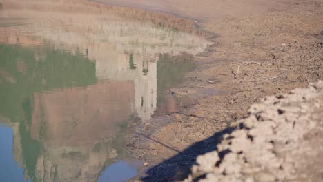 Der-Sau-Sumpf-Ist-Aufgrund-Der-Extremen-Trockenheit-Und-Des-Mangels-An-Regen-Ohne-Wasser