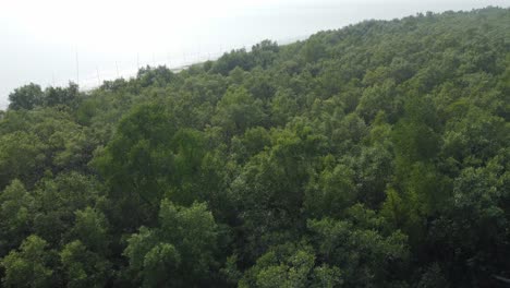 Vista-Aérea-De-Sundarban,-Que-Es-Uno-De-Los-Bosques-De-Reserva-De-Tigres-Más-Grandes-De-Asia.