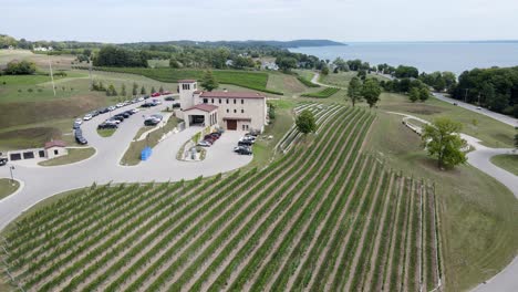 Vineyard-on-Old-Mission-Peninsula,-famous-tourist-place,-aerial-view