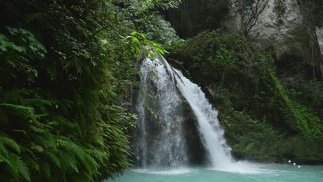 Einspielung-Einer-Statischen-Aufnahme-Der-Kawasan-Fälle-Auf-Den-Philippinen,-Zeitlupenaufnahme-Von-Wasser-Im-Wald